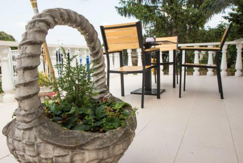 Bed & Breakfast Sungarden Vend�gh�z, �tterem, B�r