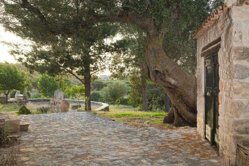 Apartamento Anthe Villa 2