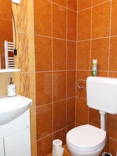 Hostal Ez�stfeny? Vend�gh�z