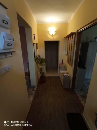 Borina Vend�gh�z