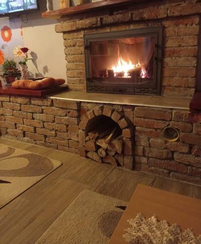 Borina Vend�gh�z
