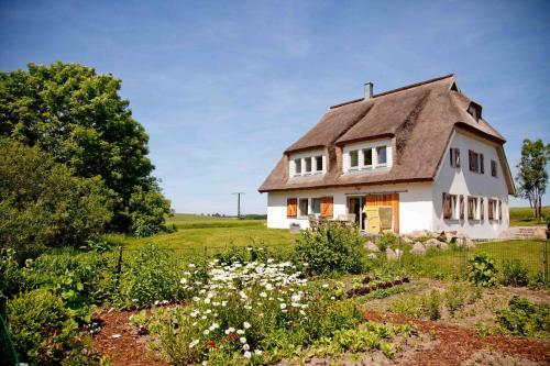 Hostal Gutshaus Ketelshagen