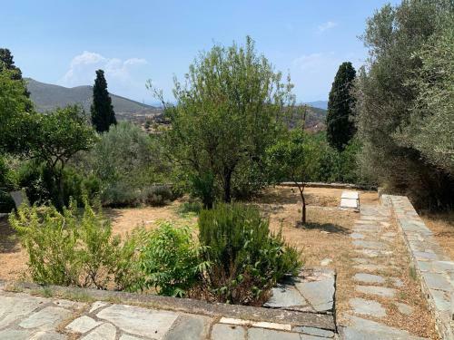 Apartamento Wood & Stone House In Old Styra