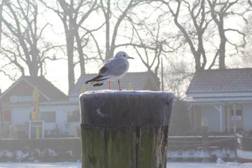 Kleine Flucht