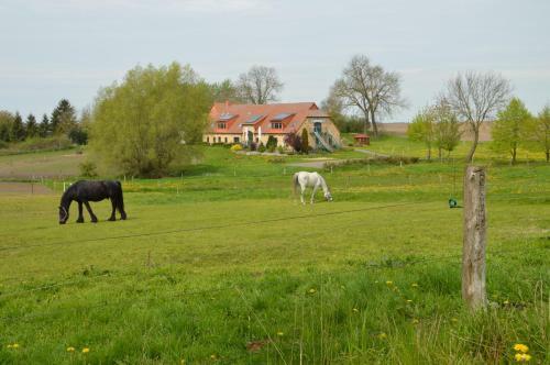 Hostal Heu-ferienhof Altkamp
