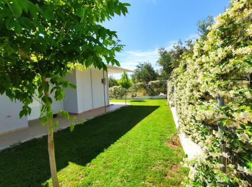 Dimitra Apartments