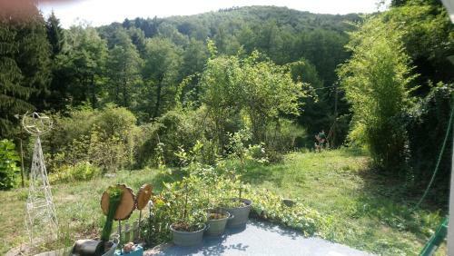Bed & Breakfast Haus 3 Birken