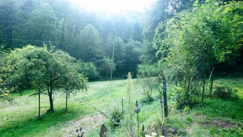 Bed & Breakfast Haus 3 Birken