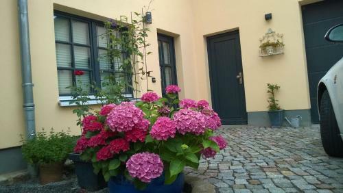 Apartamento Uferlos