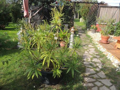 Apartamento Ferienwohnung Am Hausberg In Radebeul