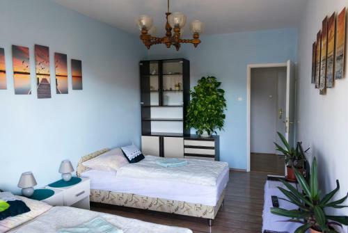 Alo� Apartman Sopron