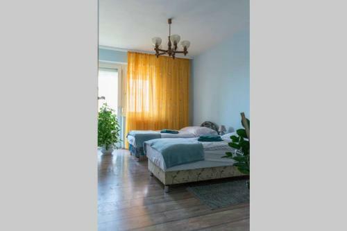 Alo� Apartman Sopron