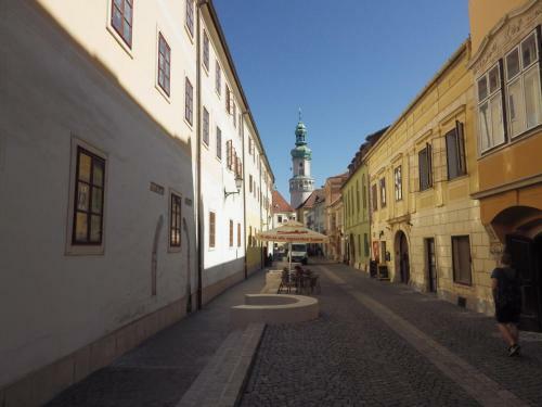Apartamento Belv�rosi Erd�sz-lak Sopron