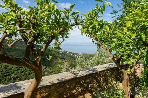 Breathtaking Sea View, Close To The Beach
