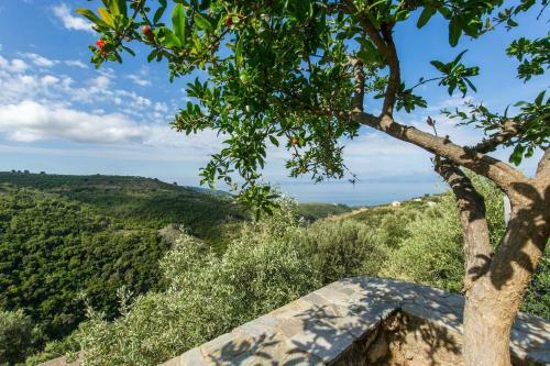 Breathtaking Sea View, Close To The Beach