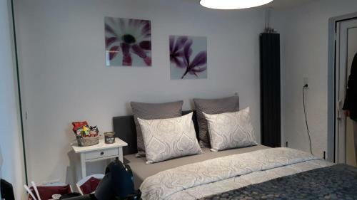 Moderm Basement Apartment