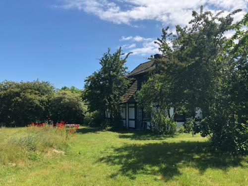Apartamento Am Achterwasser Dorf 12