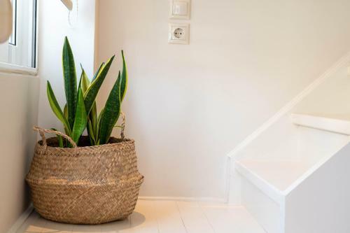 Apartamento Scala_apartment
