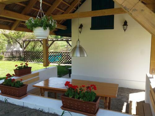 Apartamento Orgona H�z