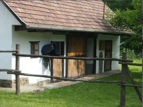 Apartamento Orgona H�z