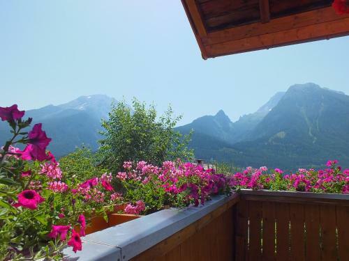 Hostal G�stehaus Amort