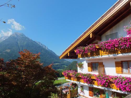 Hostal G�stehaus Amort