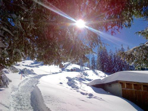 Hostal Bergbach