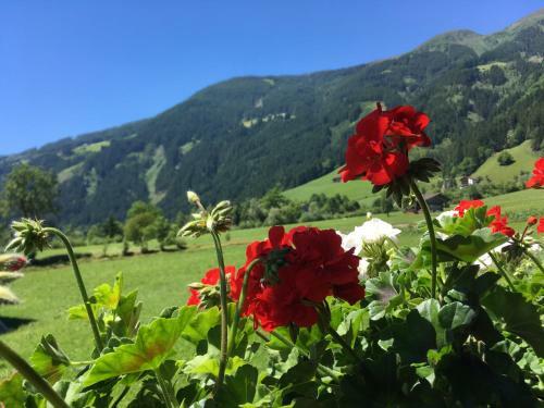 Apartamento Huaterhof