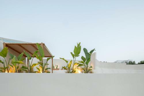 Utopia Villas Santorini