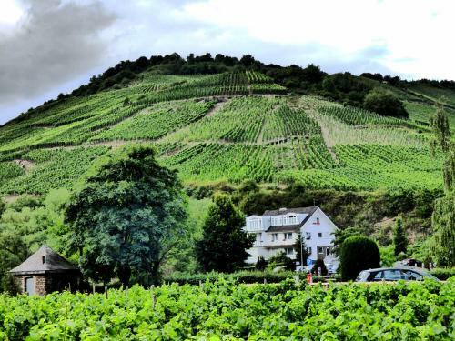 Apartamento Relaxen Im Alten Winzerhaus Fewo Eg