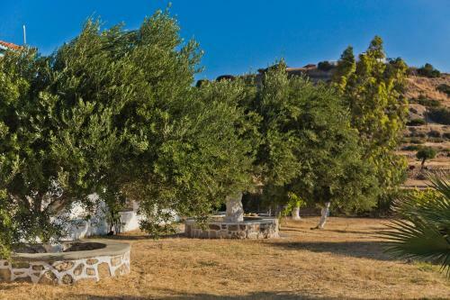 Apartamento Olive Studios Karpathos Studio #1