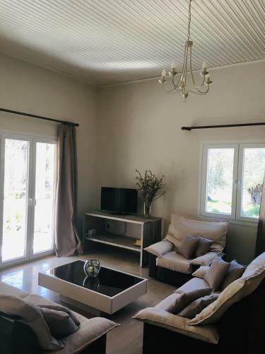 The Olive Grove House