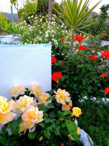 Rou Garden House