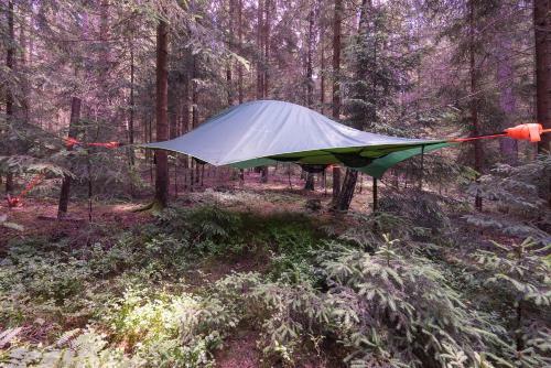 Bed & Breakfast Baumzelt Im Wald