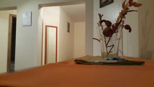 Aquarius Apartman