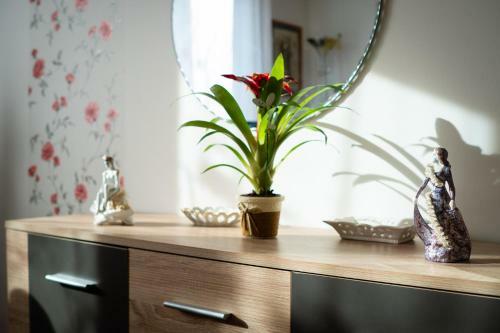 Tip-top Apartman H�z