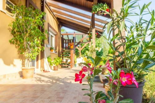 Hostal B�rdi-bene Vend�gh�z