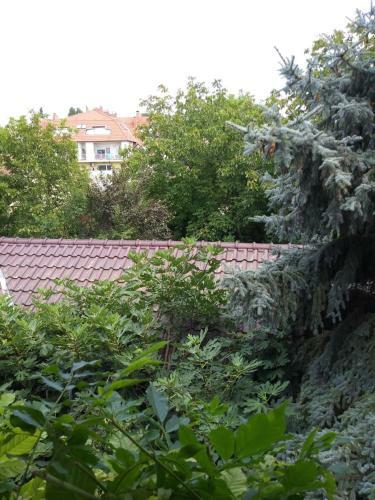 Hostal Balogh Vendegh�z