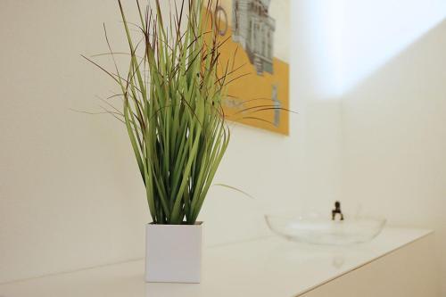 Apartamento Wassergasse 11
