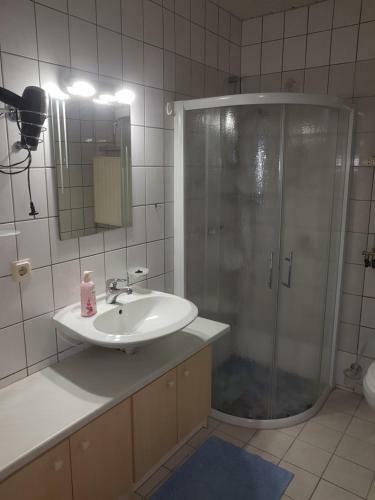 Apartamento Pension Zum Wei�en Hirsch