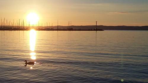 Panor�ma Wellness Apartman