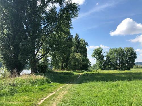 Apartamento T&t Ferienwohnung