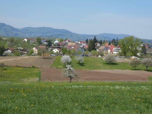 Apartamento Ferienwohnung Alexandra