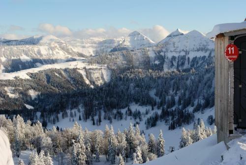 Aparthotel Pension Wald