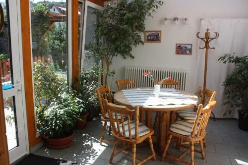 Hostal Cafe & Pension Carmen