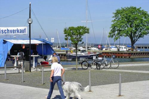 Houseboat Holl�ndischer Schlepper, Ribnitz-damgarten