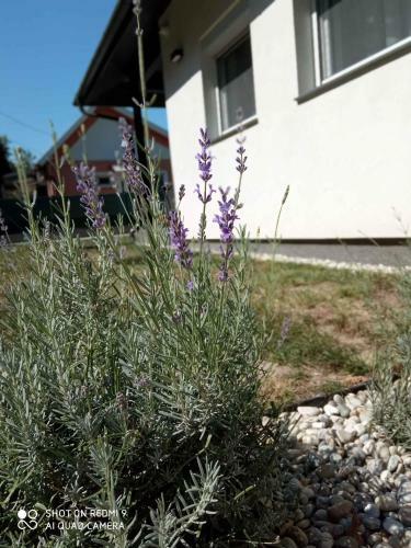 Holiday Home In Siofok - Balaton 41944