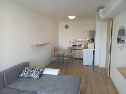 Miller Apartman Ez�stpart