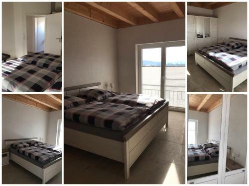 Apartamento Ferienwohnung Reitanlage Winterhalder