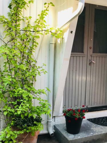 Villa A Noi Rooms